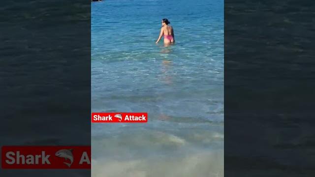 Shark attack | rio de janeiro atlantic ocean #shark #travel #subscribe #comedy #brazil #ocean Shark attack | rio de janeiro atlantic ocean #shark #travel #subscribe #comedy #brazil #ocean