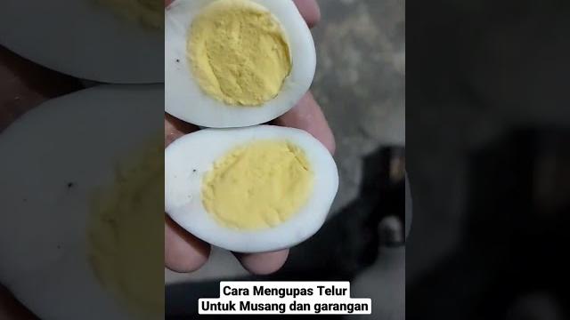 Makanan musang dan garangan Makanan musang dan garangan