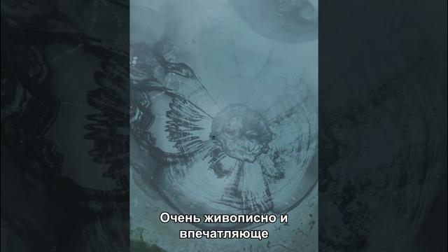 Гейзерное озеро. алтай Гейзерное озеро. алтай