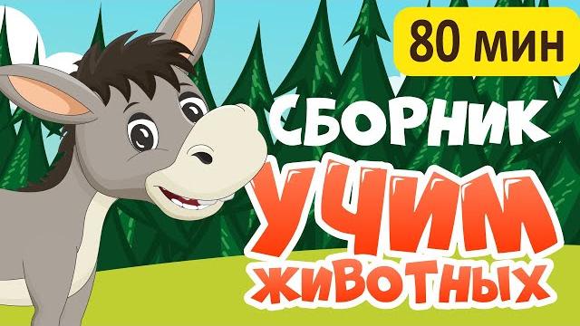 Сборник! развивающие мультики про животных для детей Сборник! развивающие мультики про животных для детей