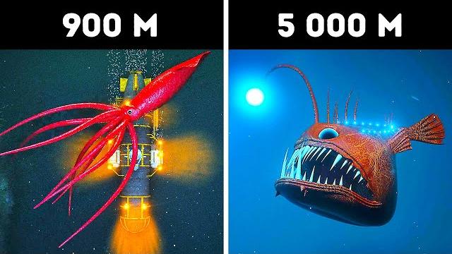 3d-путешествие к неизведанному, что кроется в глубинах океана 3d-путешествие к неизведанному, что кроется в глубинах океана
