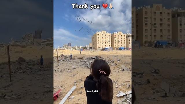 Palestine state, thank you #palestine #state #palestine ®️ Palestine state, thank you #palestine #state #palestine ®️