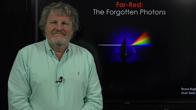 Far-red: the forgotten photons Far-red: the forgotten photons