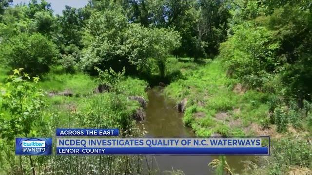 'exposure to levels of e. coli this high is a problem for public health:' pollution concerns rise in 'exposure to levels of e. coli this high is a problem for public health:' pollution concerns rise in