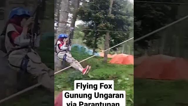 Flying fox gunung ungaran via parantunan #flyingfox #shorts #viral #best #education #children #top Flying fox gunung ungaran via parantunan #flyingfox #shorts #viral #best #education #children #top