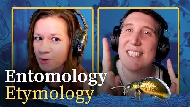 Why is there a cat in "caterpillar"? | bug words Why is there a cat in "caterpillar"? | bug words