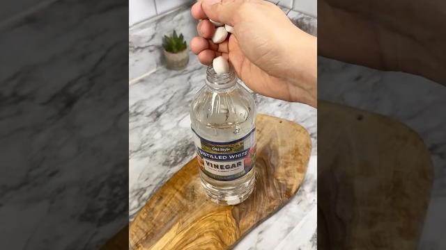This mothball and vinegar mix will make pests disappear forever! #pestcontrol #homehacks This mothball and vinegar mix will make pests disappear forever! #pestcontrol #homehacks