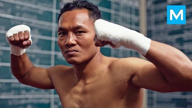 King of muay thai - saenchai | muscle madness King of muay thai - saenchai | muscle madness