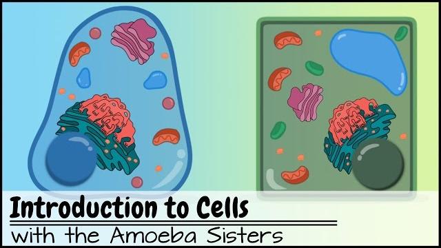 Introduction to cells: the grand cell tour Introduction to cells: the grand cell tour