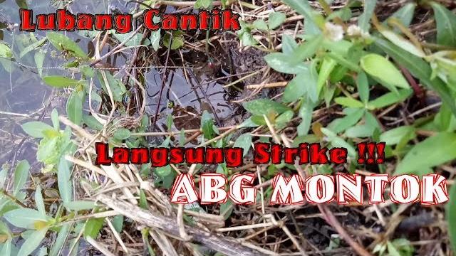 Lubang cantik abg montok Lubang cantik abg montok