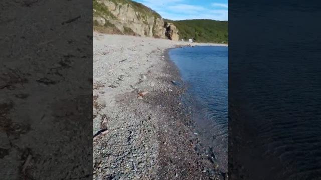 Остров русский,бухта шмидт. Остров русский,бухта шмидт.