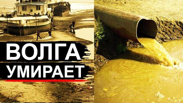 Волга на грани! обмеление и грязь Волга на грани! обмеление и грязь