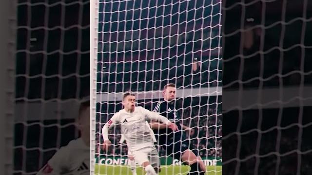 De ligt says n️ De ligt says n️
