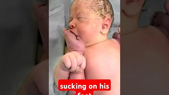 Baby sucking on his foot #shorts Baby sucking on his foot #shorts