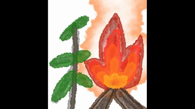 Kanji of autumn, aki 秋 Kanji of autumn, aki 秋
