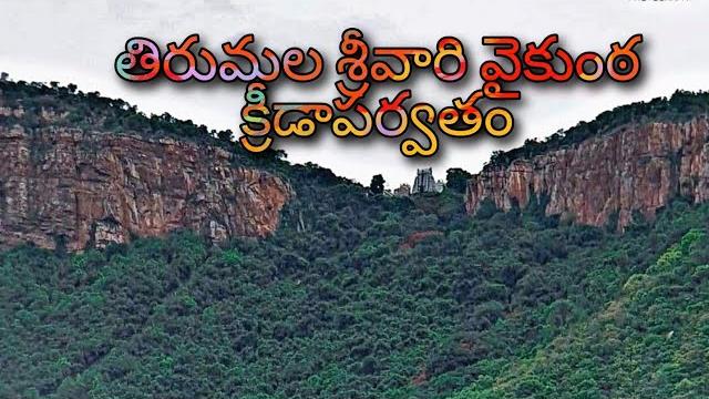 Tirumala hills ,alipiri ,ghat road , and srivari temple picture video|| srivari sevalu, abhishekam. Tirumala hills ,alipiri ,ghat road , and srivari temple picture video|| srivari sevalu, abhishekam.