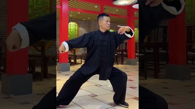 通灵术 祥瑞金乌 传说中的雀不飞?修行 内功 内家拳 太极 通灵术 祥瑞金乌 传说中的雀不飞?修行 内功 内家拳 太极