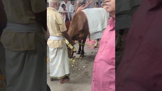 Go poojai @ ramar temple.kovai Go poojai @ ramar temple.kovai