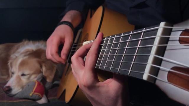 The last of us fingerstyle guitar main theme The last of us fingerstyle guitar main theme