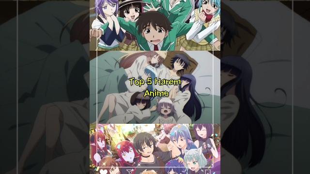 Top 5 harem anime @otakuhighsenpai #anime #shorts Top 5 harem anime @otakuhighsenpai #anime #shorts