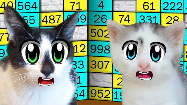1,000 заданий за 24 часа челлендж ! *2 часть* кто последний перестанет выполнять задания? 1,000 заданий за 24 часа челлендж ! *2 часть* кто последний перестанет выполнять задания?