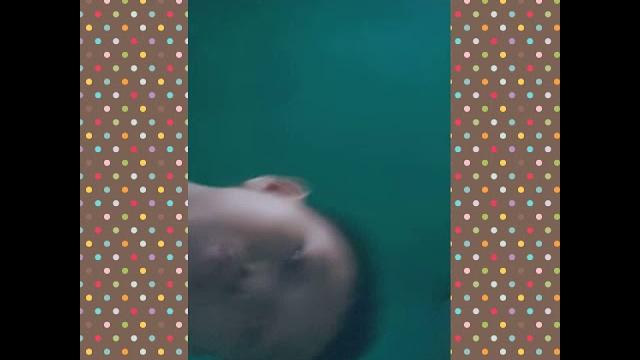 Memek Memek