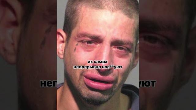 Как в тюрьме относятся к нас**ьникам? Как в тюрьме относятся к нас**ьникам?