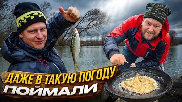 Это очень вкусно! пожарили уклейку прямо на рыбалке Это очень вкусно! пожарили уклейку прямо на рыбалке