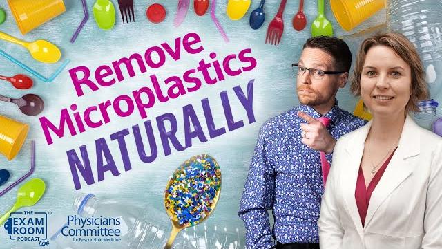 Best ways to remove microplastics from your system Best ways to remove microplastics from your system