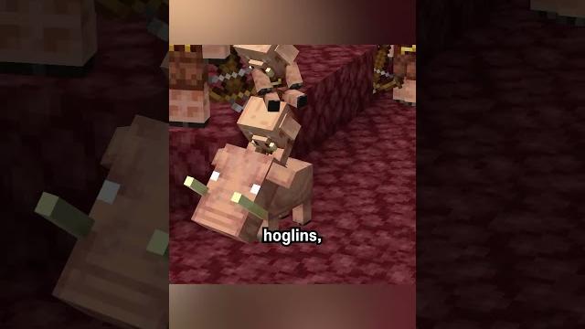 Cute piglins stack on top of eachother Cute piglins stack on top of eachother
