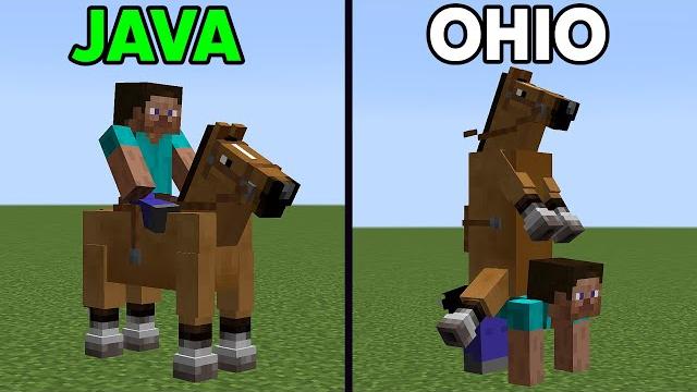 Minecraft java vs ohio Minecraft java vs ohio