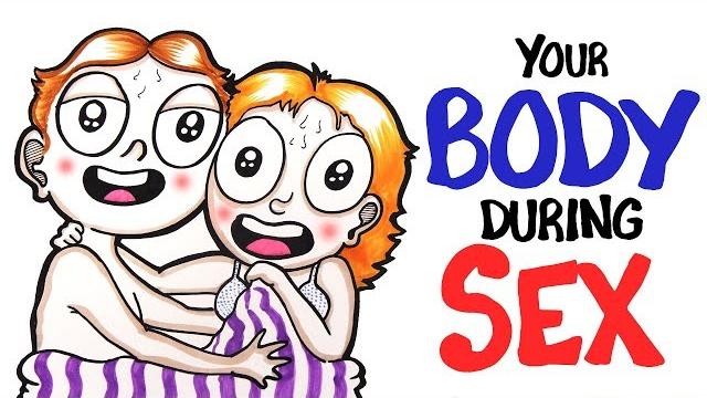 Your body during sex Your body during sex
