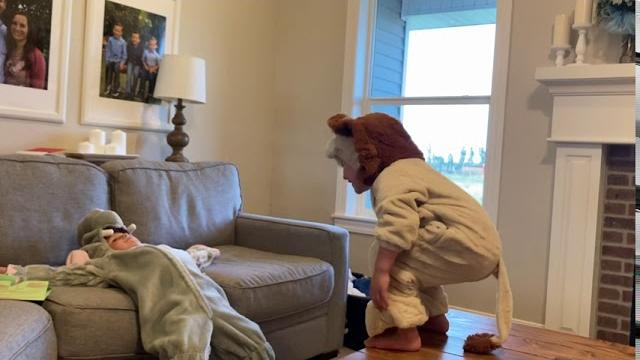 Lydia the lion vs thomas the elephant Lydia the lion vs thomas the elephant