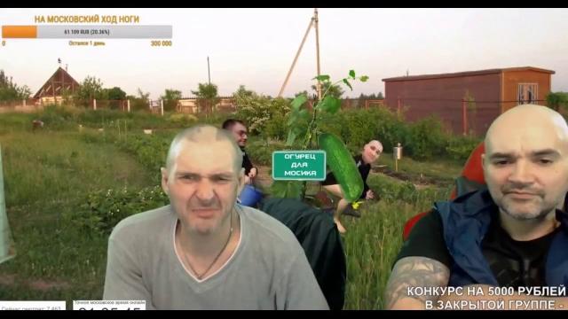 История мопса про игру в секу в тюряге История мопса про игру в секу в тюряге