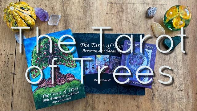 The tarot of trees flip-through The tarot of trees flip-through