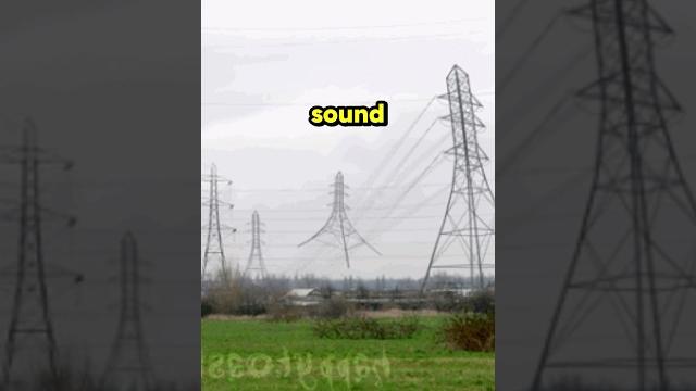 Do not click the sound! Do not click the sound!