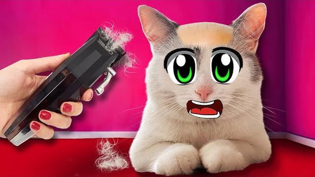 5 способов пранкануть друзей! улыбающиеся коты малыш и мурка! приколы а ну-ка давай-ка 5 способов пранкануть друзей! улыбающиеся коты малыш и мурка! приколы а ну-ка давай-ка