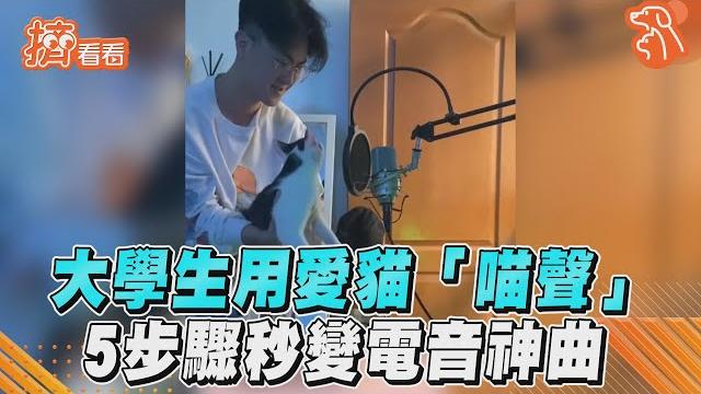 大學生用愛貓「喵聲」 5步驟秒變電音神曲|tvbs新聞|擠看看 #shorts 大學生用愛貓「喵聲」 5步驟秒變電音神曲|tvbs新聞|擠看看 #shorts