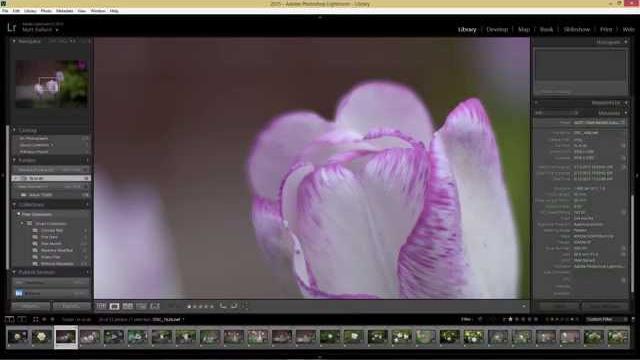 Nikon 50mm f1.8g full frame vs crop sensor bokeh and depth of field: nikon df vs nikon d5500 Nikon 50mm f1.8g full frame vs crop sensor bokeh and depth of field: nikon df vs nikon d5500