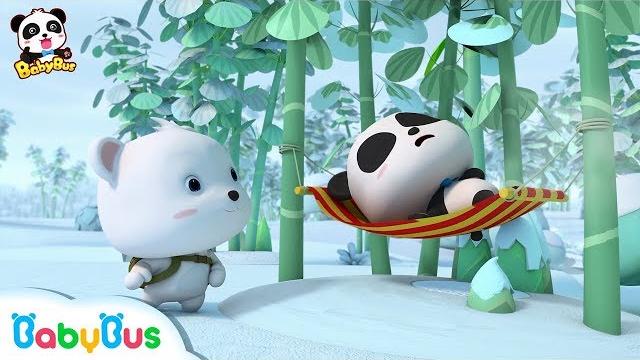 Who is the real panda kiki? | baby panda's magic bow tie | magical chinese characters | babybus Who is the real panda kiki? | baby panda's magic bow tie | magical chinese characters | babybus