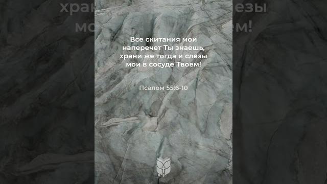Псалом 55:6-10 (ипб) #biblevision Псалом 55:6-10 (ипб) #biblevision