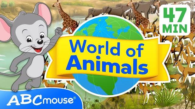 Explore the world of animals | 47 minute full episode | compilation for tv | abcmouse for kids Explore the world of animals | 47 minute full episode | compilation for tv | abcmouse for kids