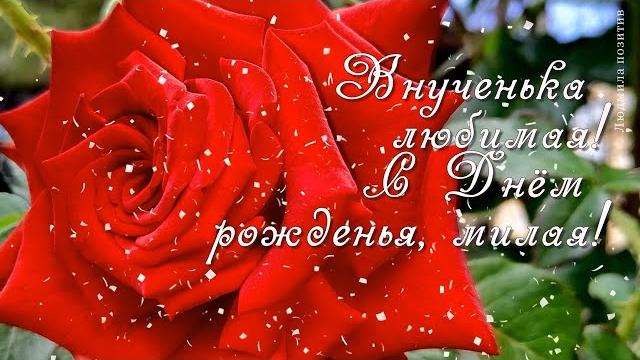 С днем рождения внучка! поздравления внучке с днем рождения. видео открытка для внучки С днем рождения внучка! поздравления внучке с днем рождения. видео открытка для внучки