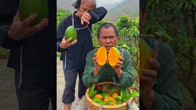 Natural juicy mango, we have grown it on all hilly areas, it is very sweet.#trending #farming Natural juicy mango, we have grown it on all hilly areas, it is very sweet.#trending #farming