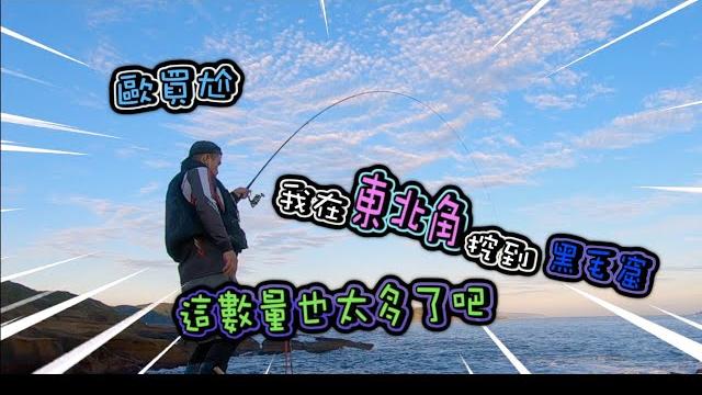 噢買尬 我在東北角挖到黑毛窟|這數量也太多了吧#釣魚#磯釣#東北角 噢買尬 我在東北角挖到黑毛窟|這數量也太多了吧#釣魚#磯釣#東北角