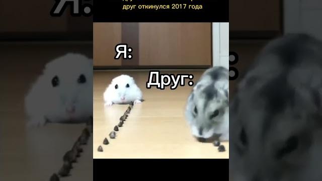 Грустный хомяк #meme #pov #мем #shorts Грустный хомяк #meme #pov #мем #shorts