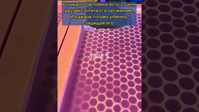 А ты знал(а), что… #shorts А ты знал(а), что… #shorts