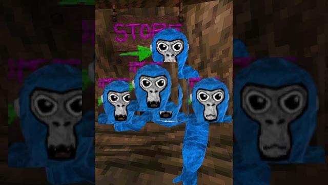 The rarest face in gorilla tag...#gorillatag #vr #gorillatagupdate #gtag #shorts #rare The rarest face in gorilla tag...#gorillatag #vr #gorillatagupdate #gtag #shorts #rare