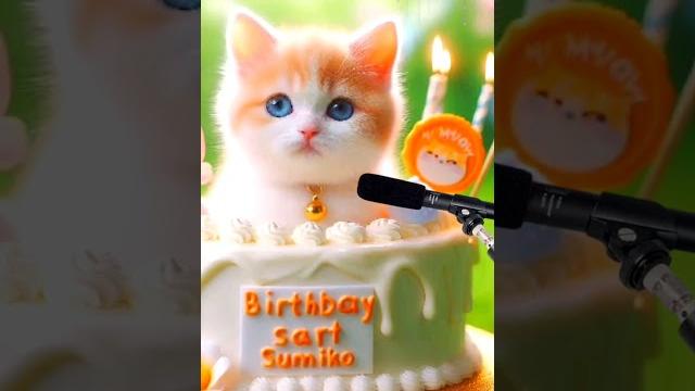 Happy birthday to you sumiko | happy birthday song with names | adorable cute cat #cat #cute Happy birthday to you sumiko | happy birthday song with names | adorable cute cat #cat #cute