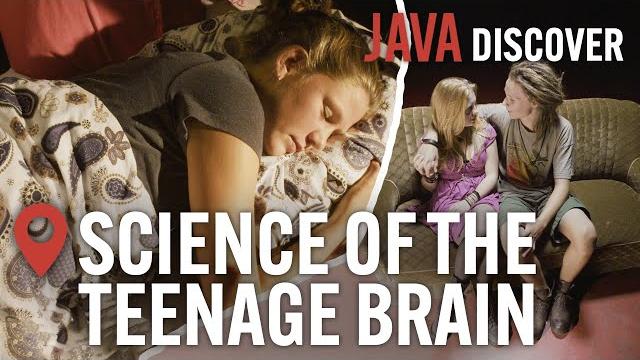 The science of teenage brains: a biological miracle | understanding the adolescent brain documentary The science of teenage brains: a biological miracle | understanding the adolescent brain documentary
